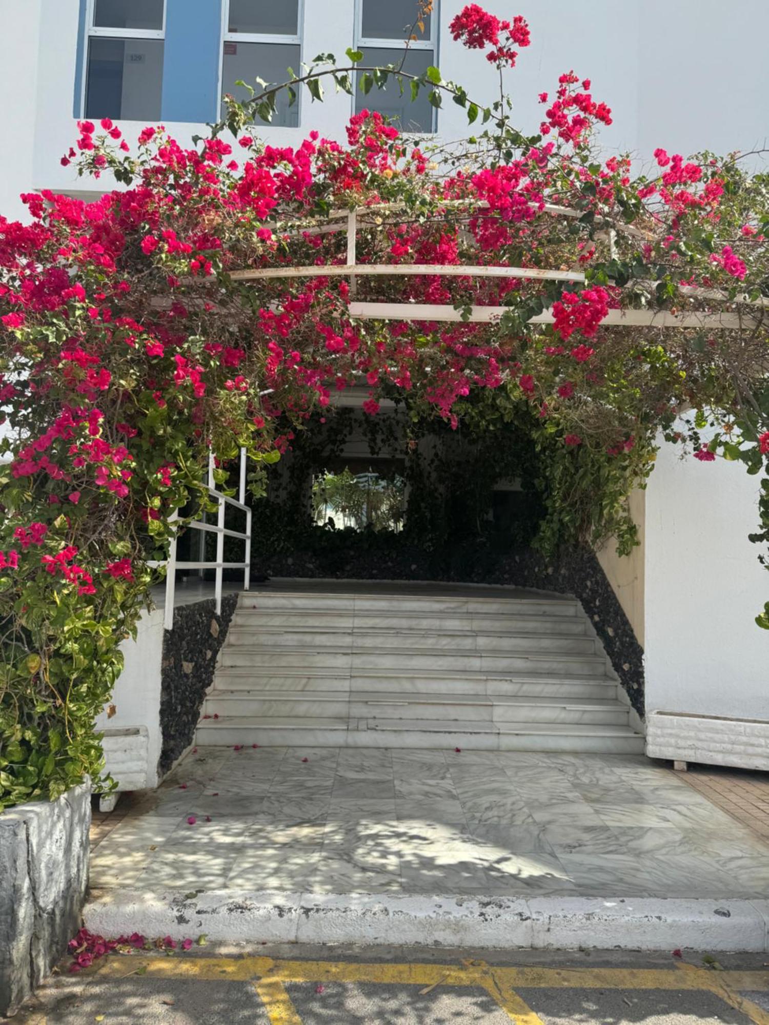 Island Paradise At Park San Miguel de Abona